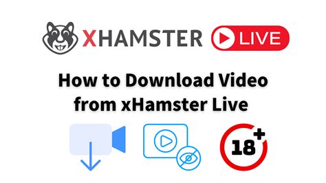 xhamsterlive vr|How to enjoy VR on our platform – xHamsterLive.